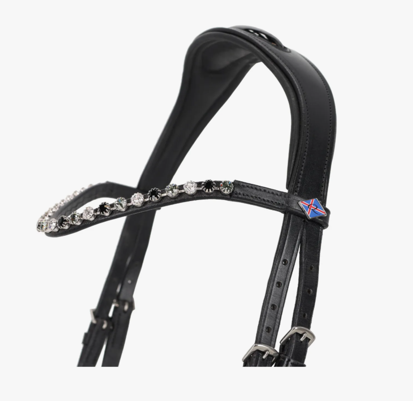 QHP Fjara Icelandic Bridle