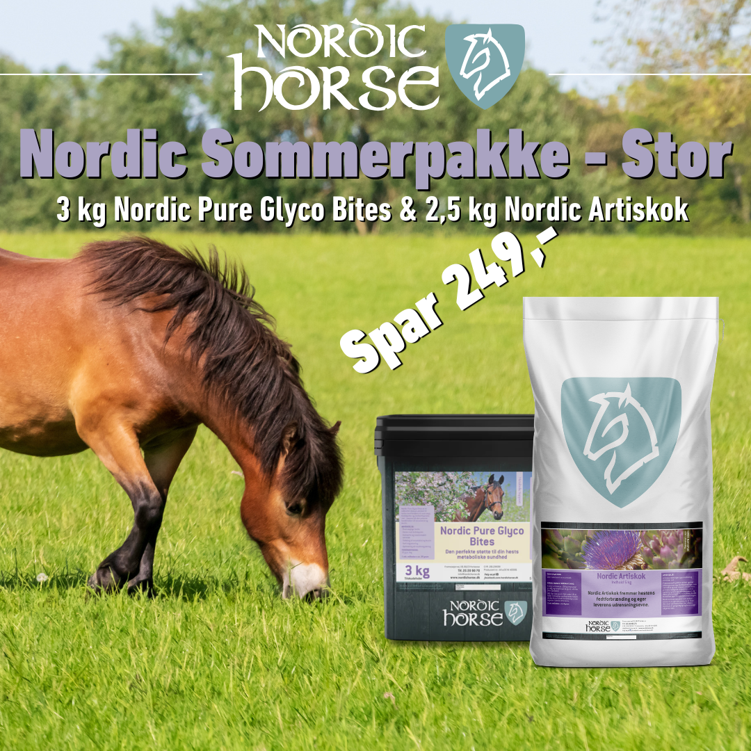 Nordic Horse Sommerpakke - Pyre Glyco Bites + Artiskok
