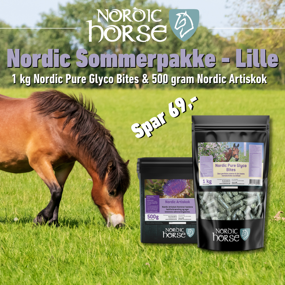 Nordic Horse Sommerpakke - Pyre Glyco Bites + Artiskok