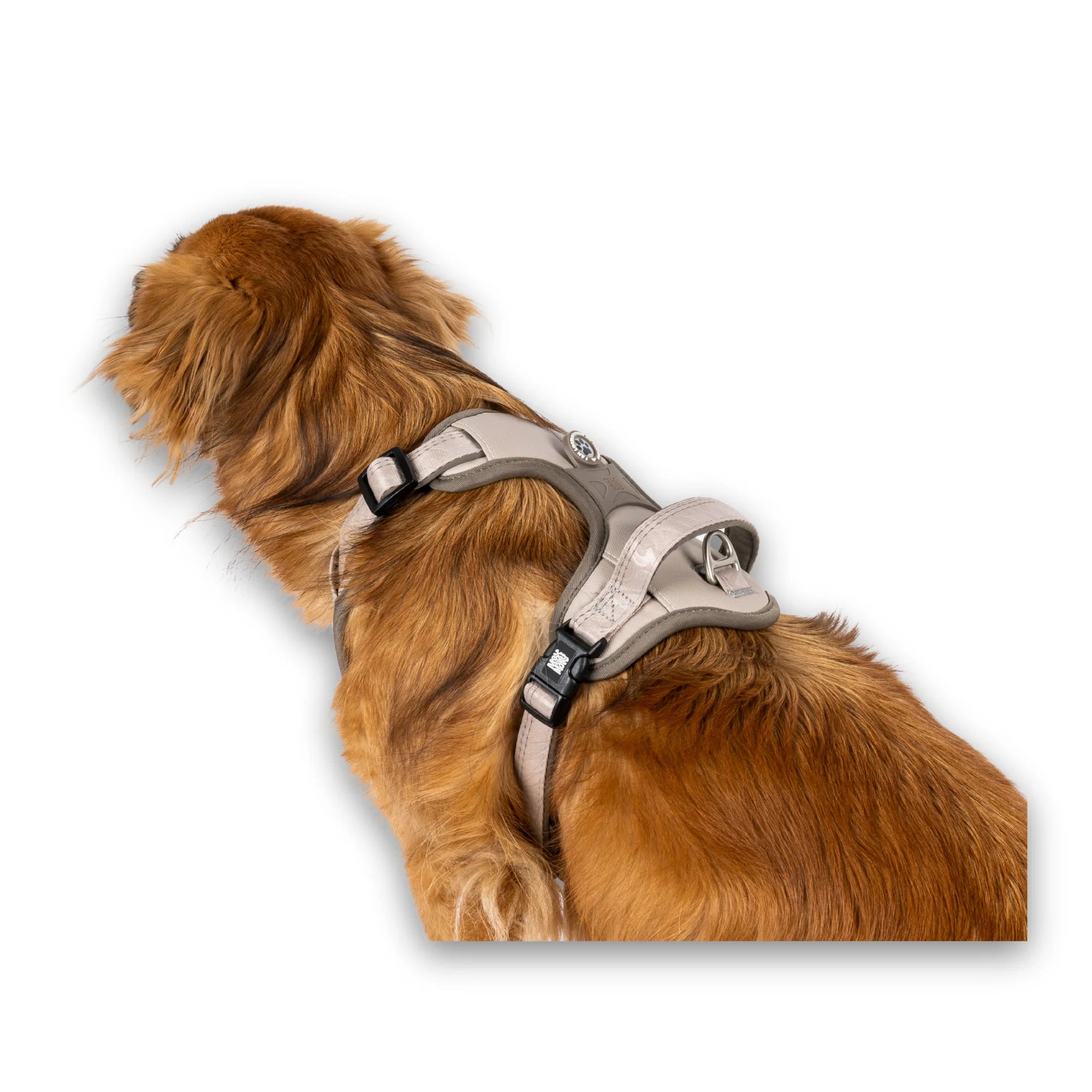 Max & Molly Matrix 2.0 Sport Sele - OUTLET
