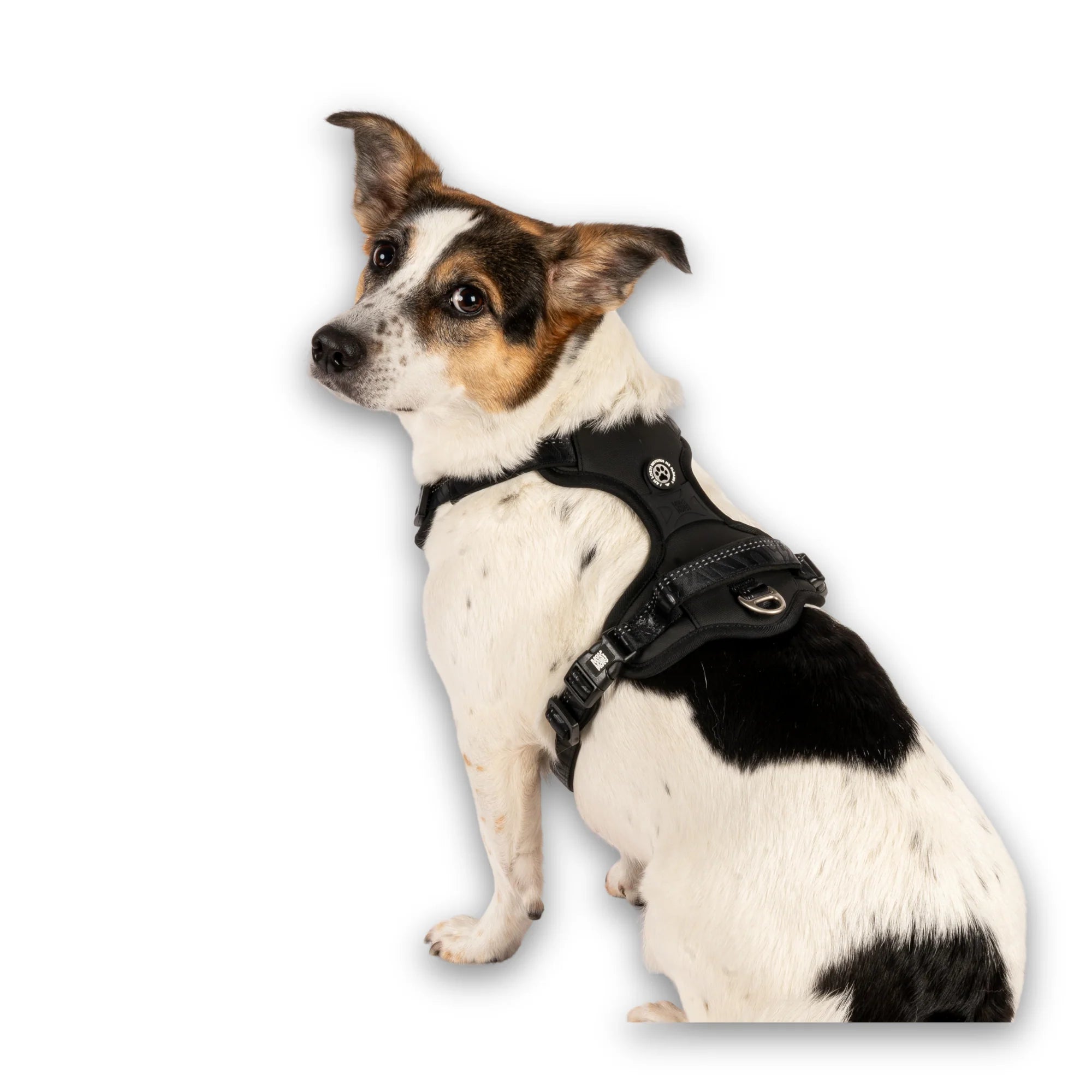 Max & Molly Matrix 2.0 Sport Sele - OUTLET