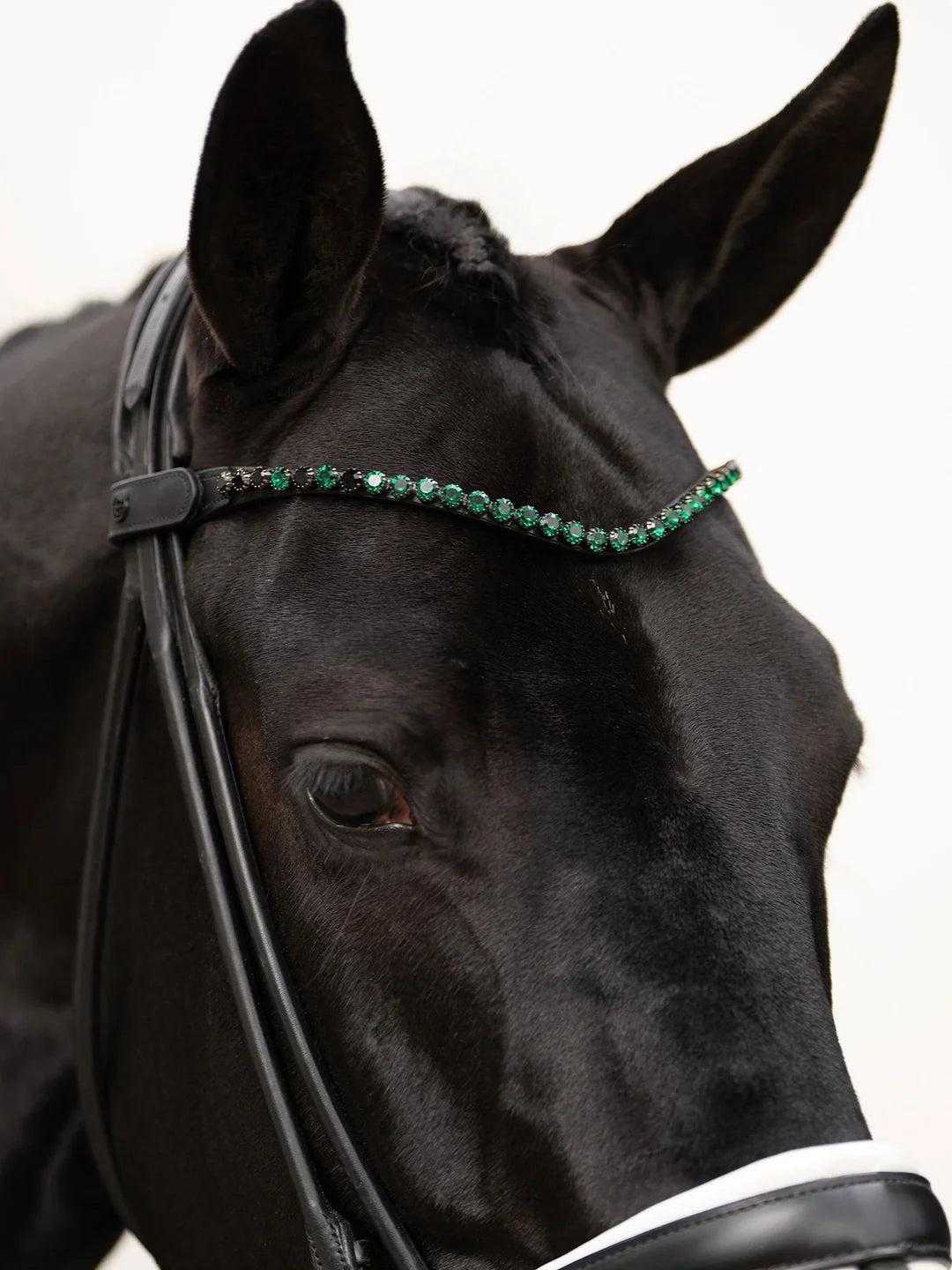 Equestrian Stockholm Browband Faded 8 mm