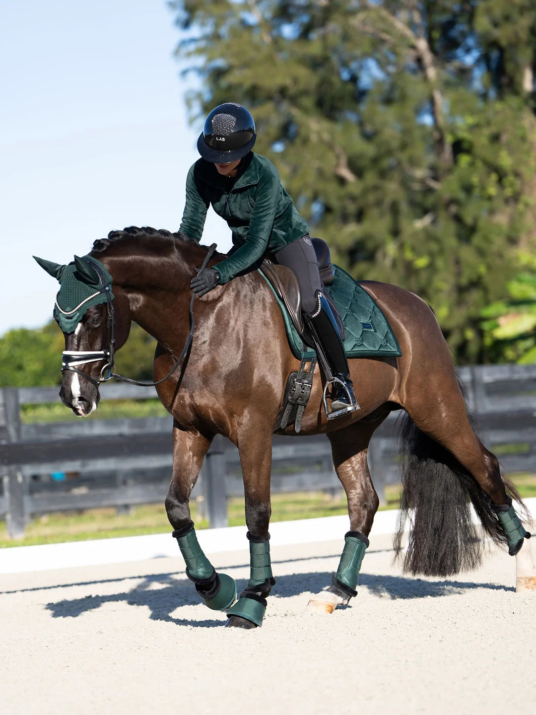 Equestrian Stockholm Hut