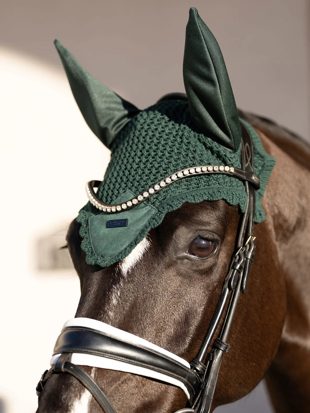Equestrian Stockholm Hut