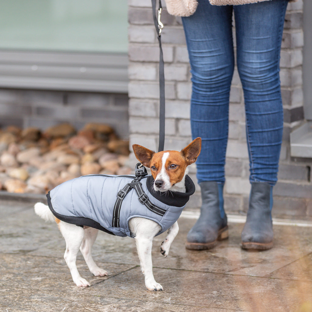 Trixie Pontis harness coat - OUTLET