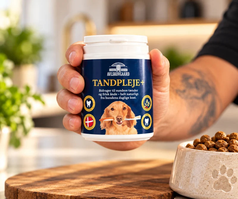 Avlskovgaard Tandpleje+