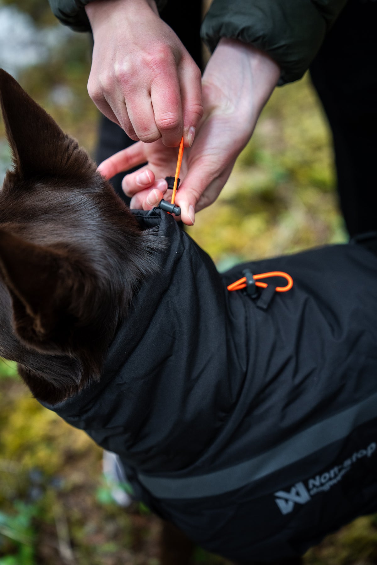 Non-Stop Trekking Insulated Dog Jacket