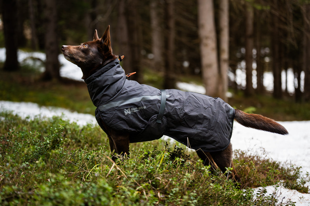 Non-Stop Trekking Insulated Dog Jacket