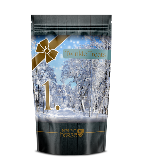 Nordic Horse Christmas Advent Collection