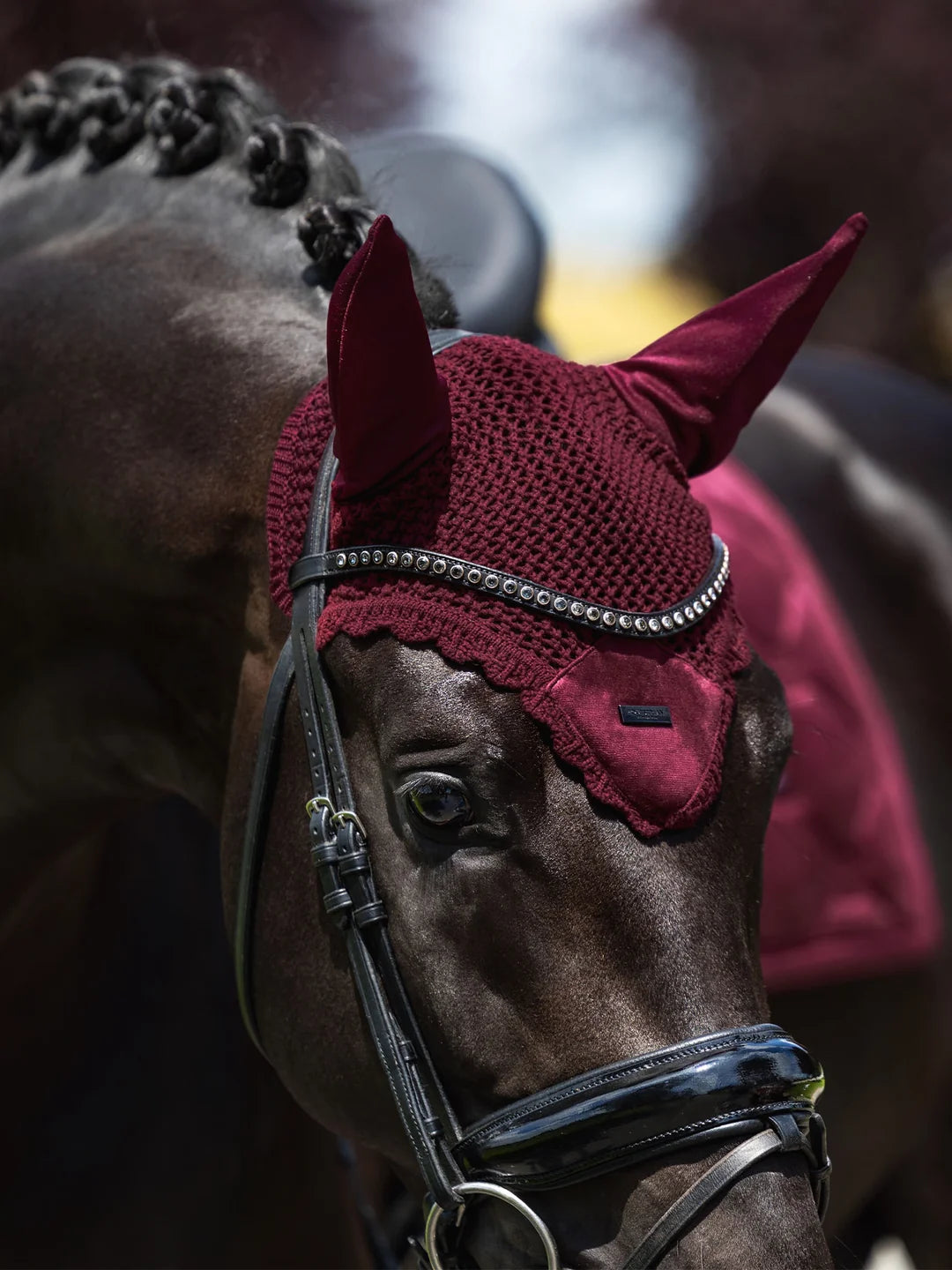 Equestrian Stockholm Hut