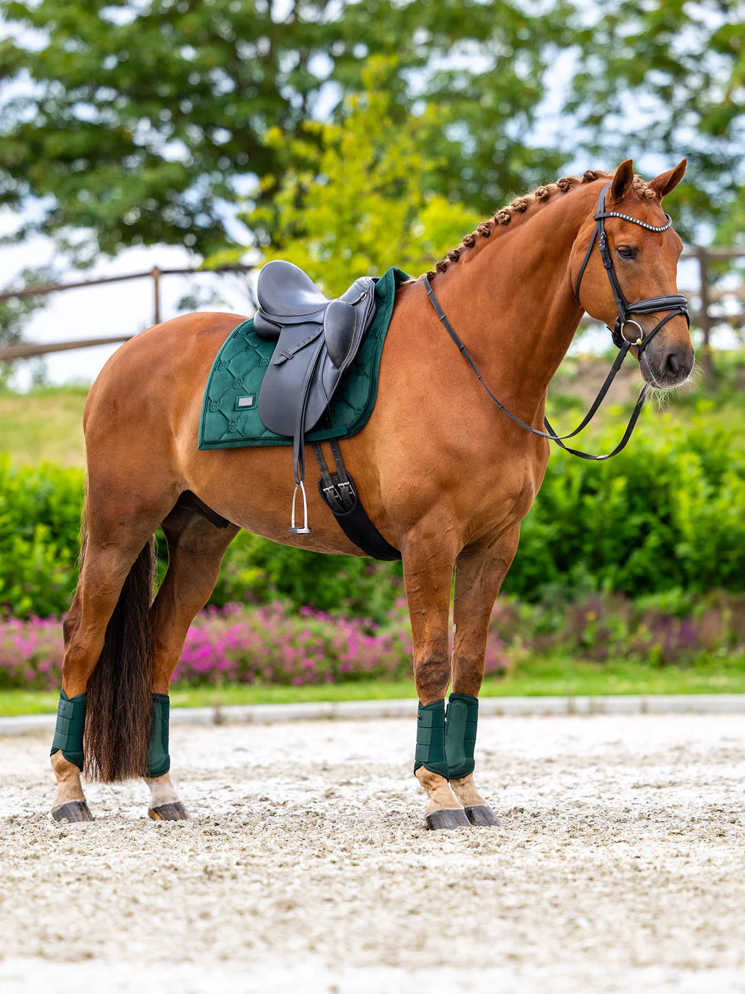 Equestrian Stockholm Velvet Dressurunderlag