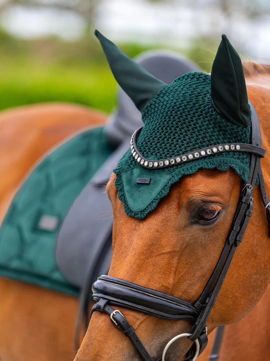 Equestrian Stockholm Hut