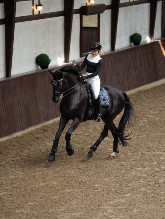 Equestrian Stockholm Winter Shadow Dressurunderlag