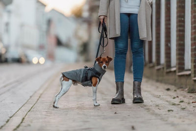 Trixie Pontis Reflect Coat Whit Harness