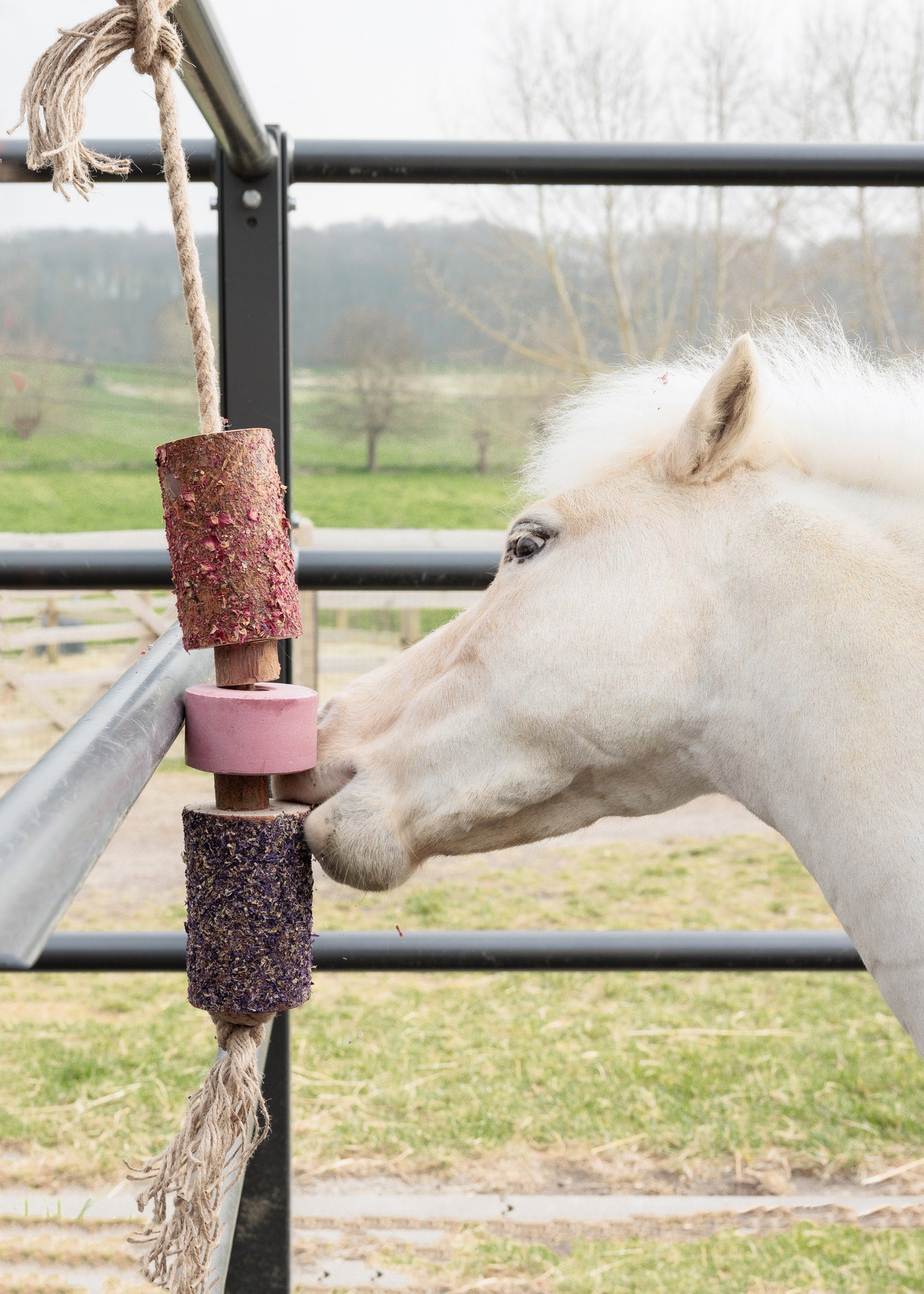 Grooming Deluxe Wooden Relax Horse Toy w. Salt Lick