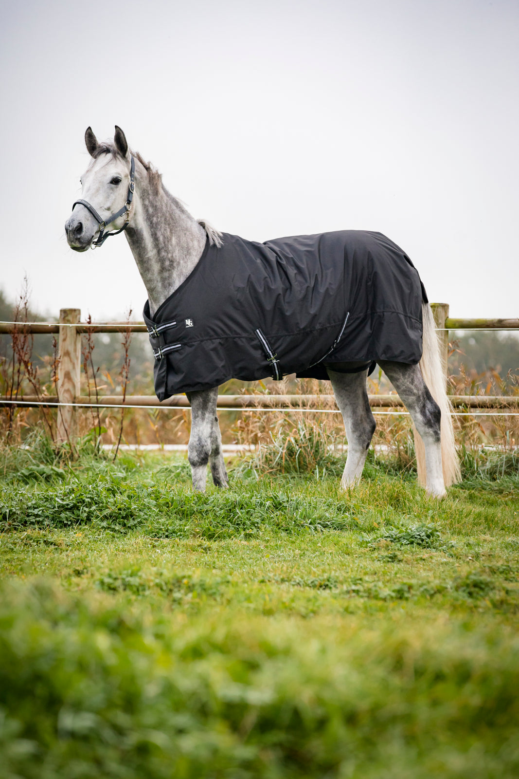 HorseGuard Turnout Rugs 200g.