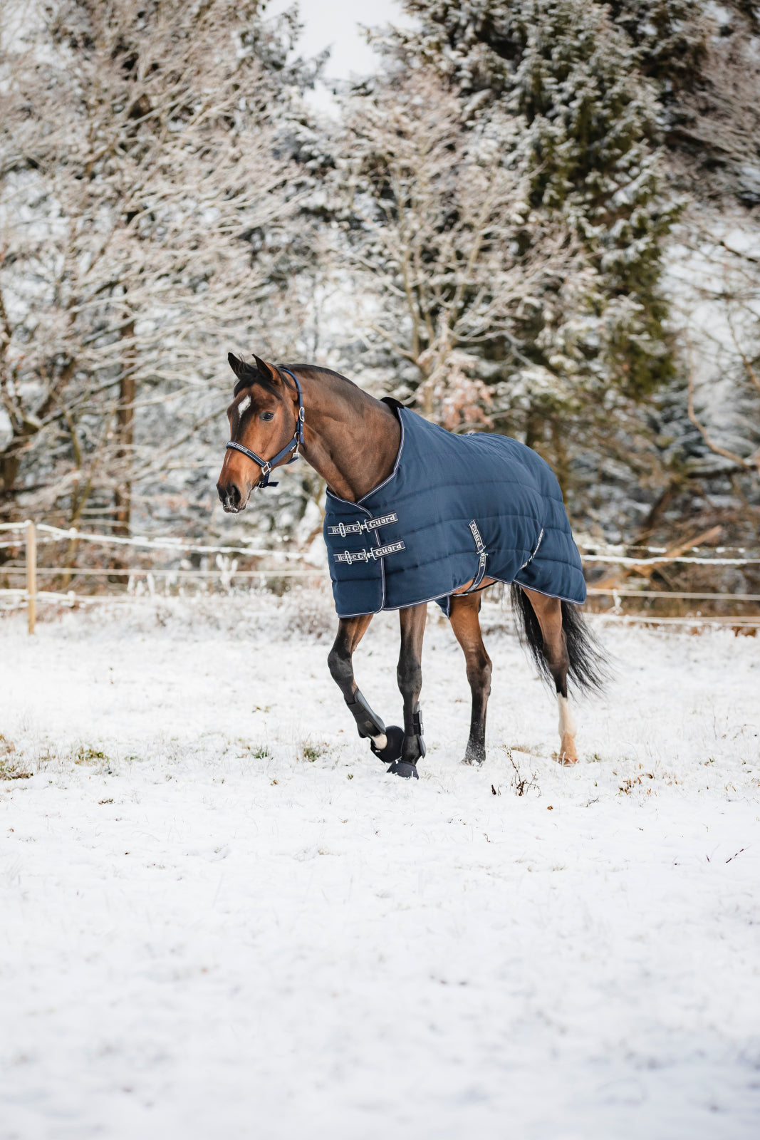 HorseGuard Sophie 600D Stable Rug