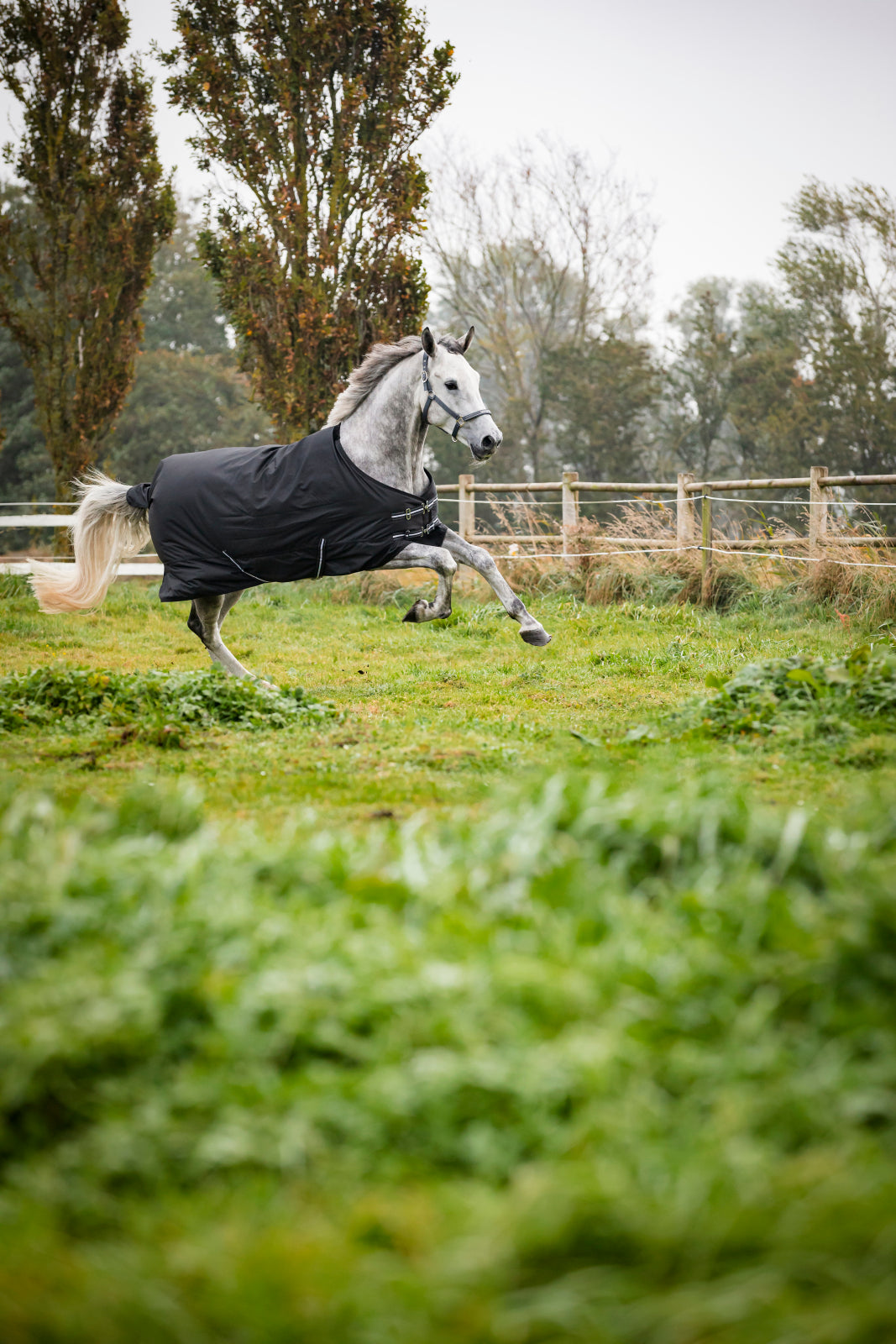 HorseGuard Turnout Rugs 200g.