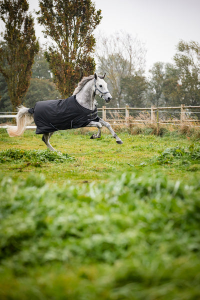 HorseGuard Turnout Rugs 600D, 200g
