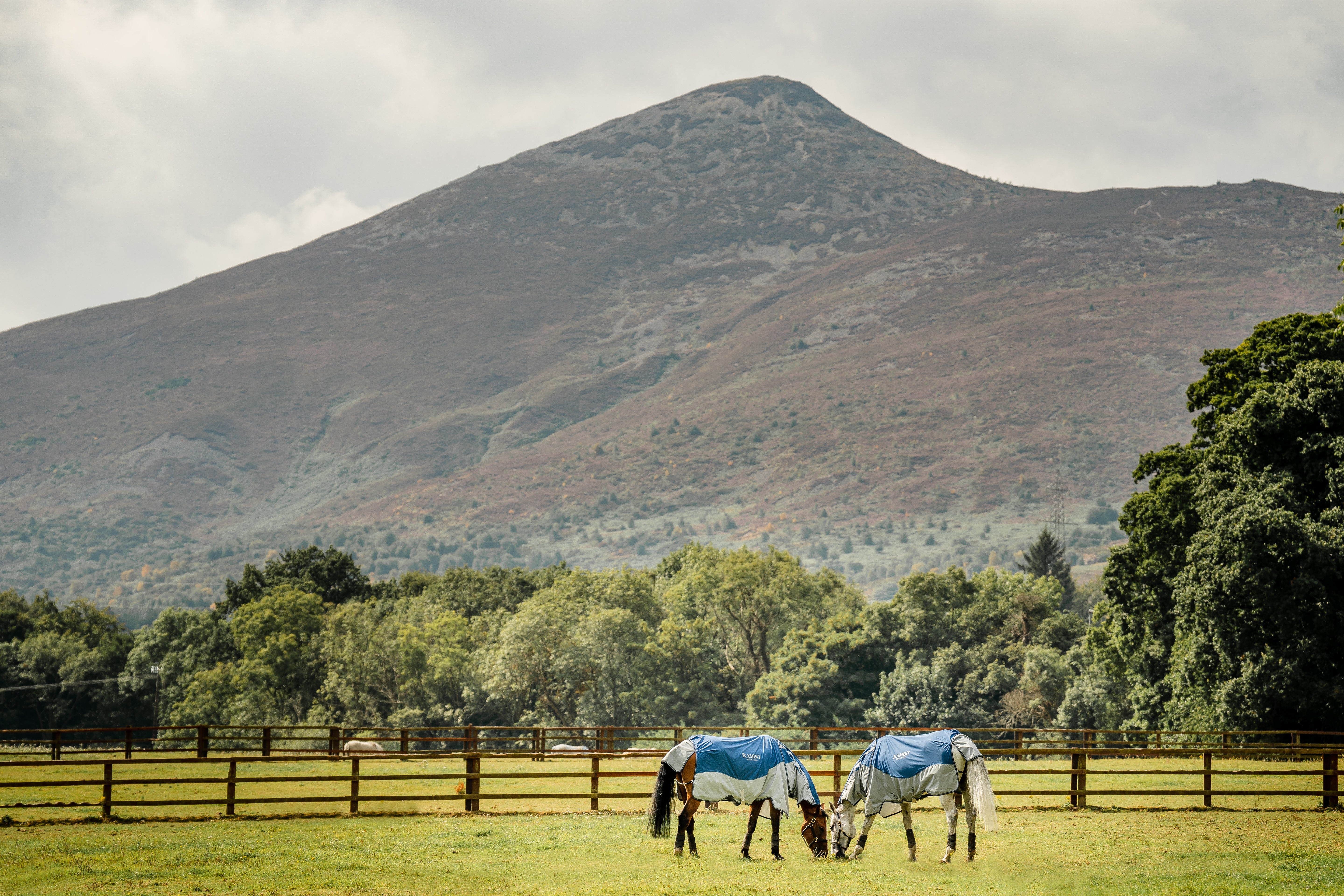 Horseware Rambo Autumn Series V3