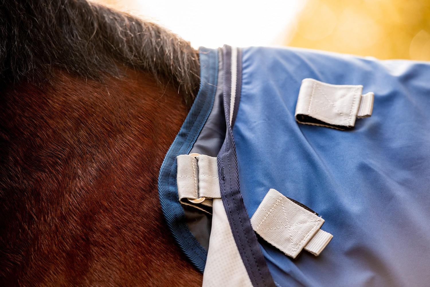 Horseware Rambo Autumn Series V3