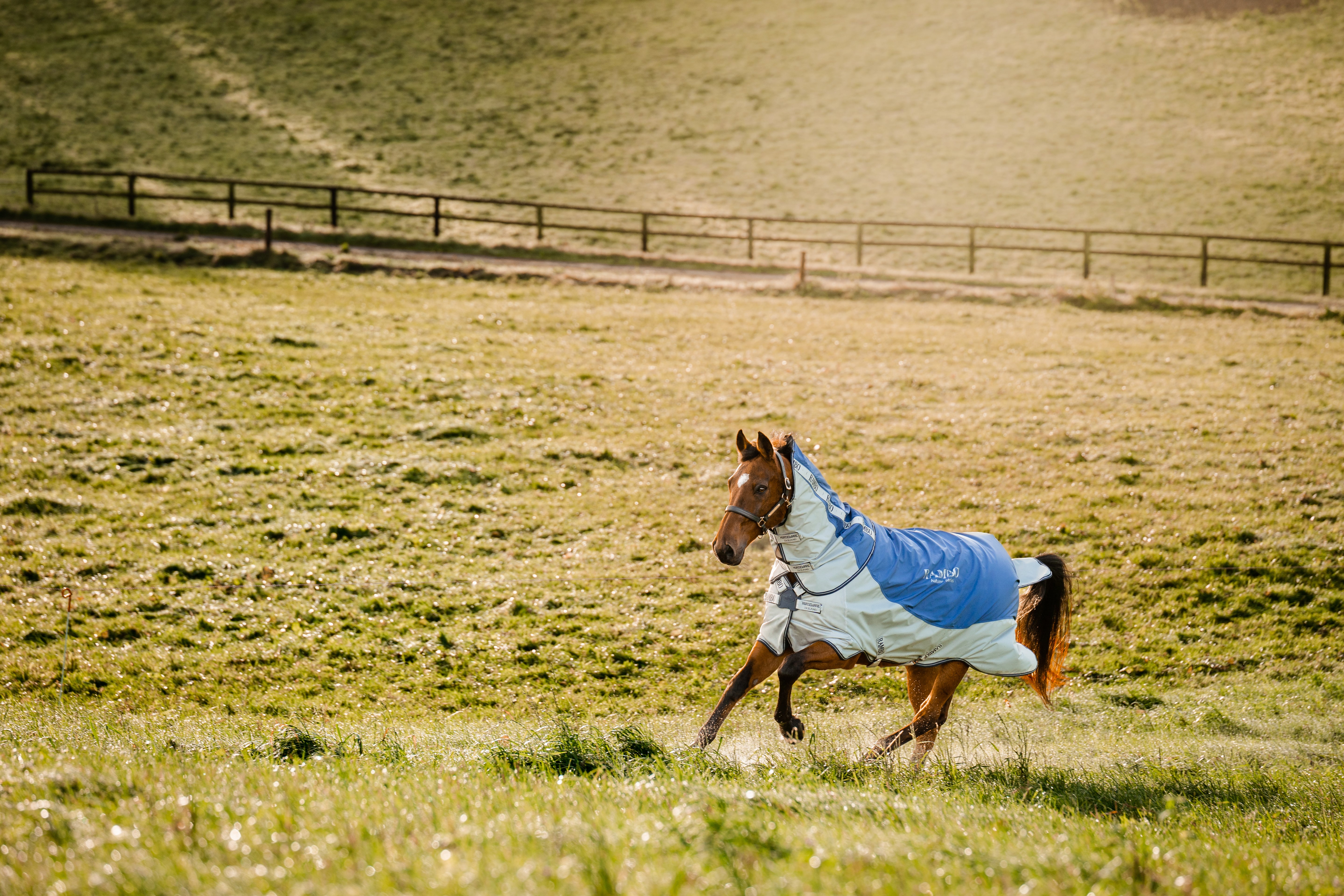 Horseware Rambo Autumn Series V3