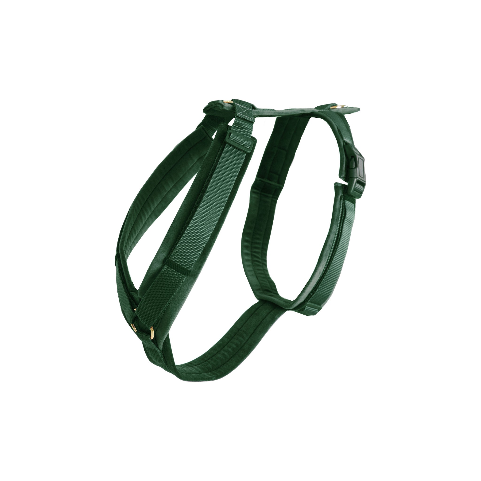 Kentucky Harness Active Velvet
