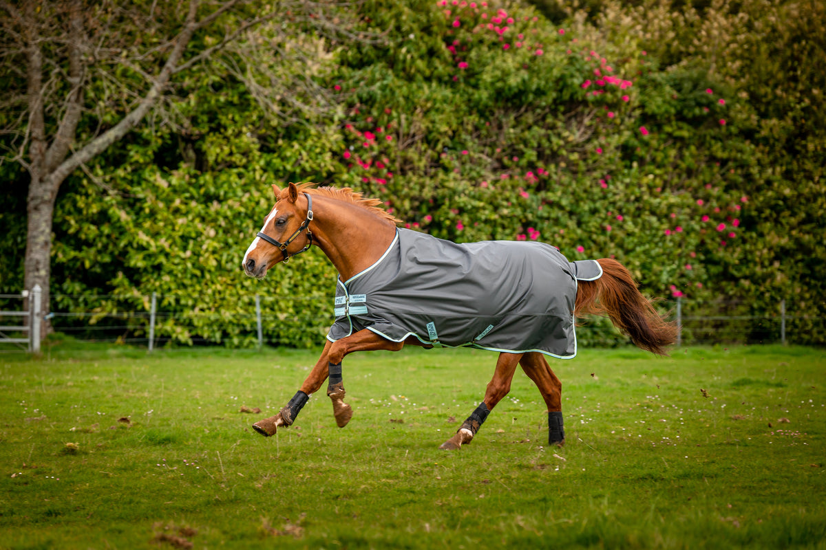Horseware Pony Amigo Hero Ripstop Plus Medium 200 g. - OUTLET