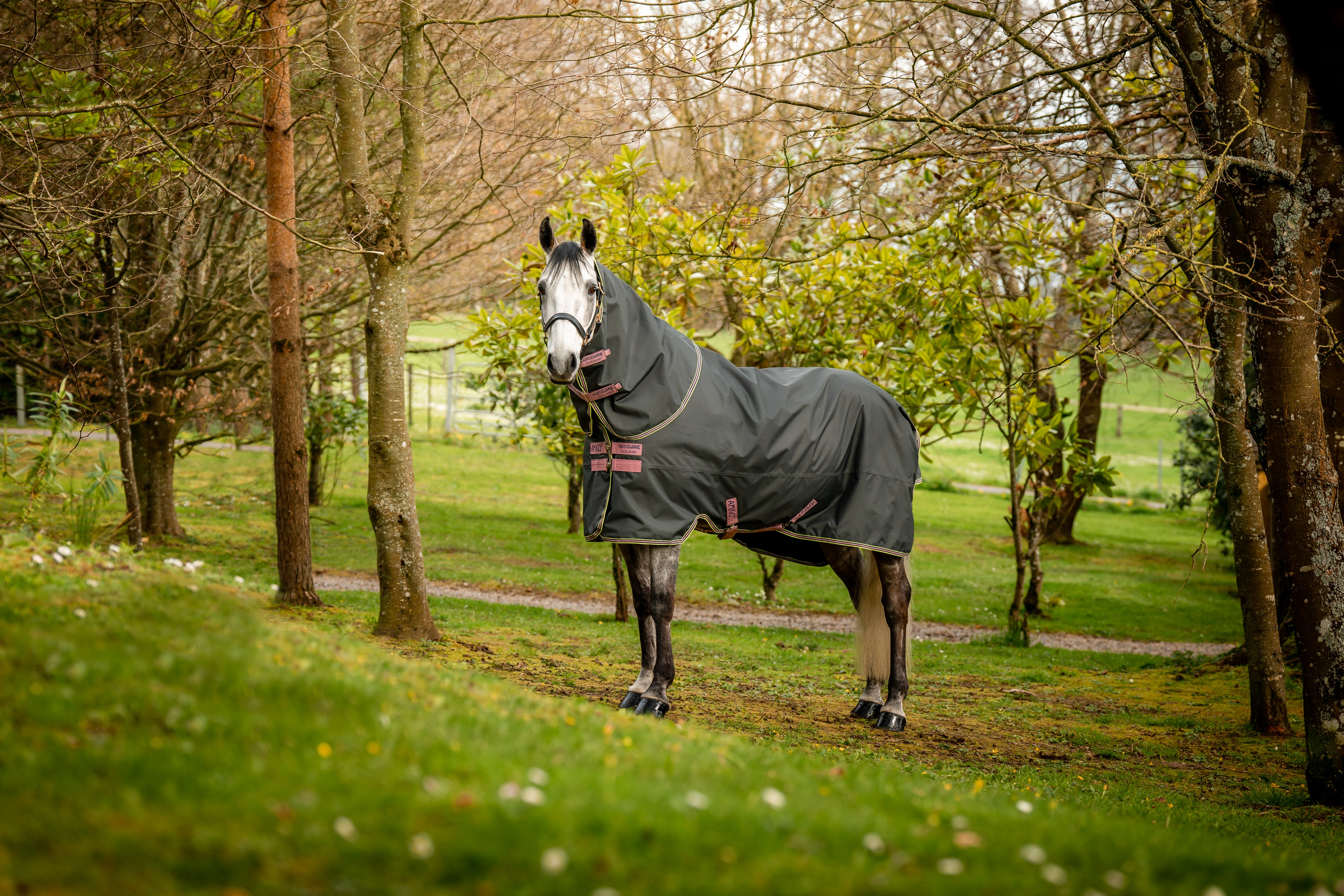 Horseware Pony Amigo Hero Ripstop Lite 0 g. - OUTLET