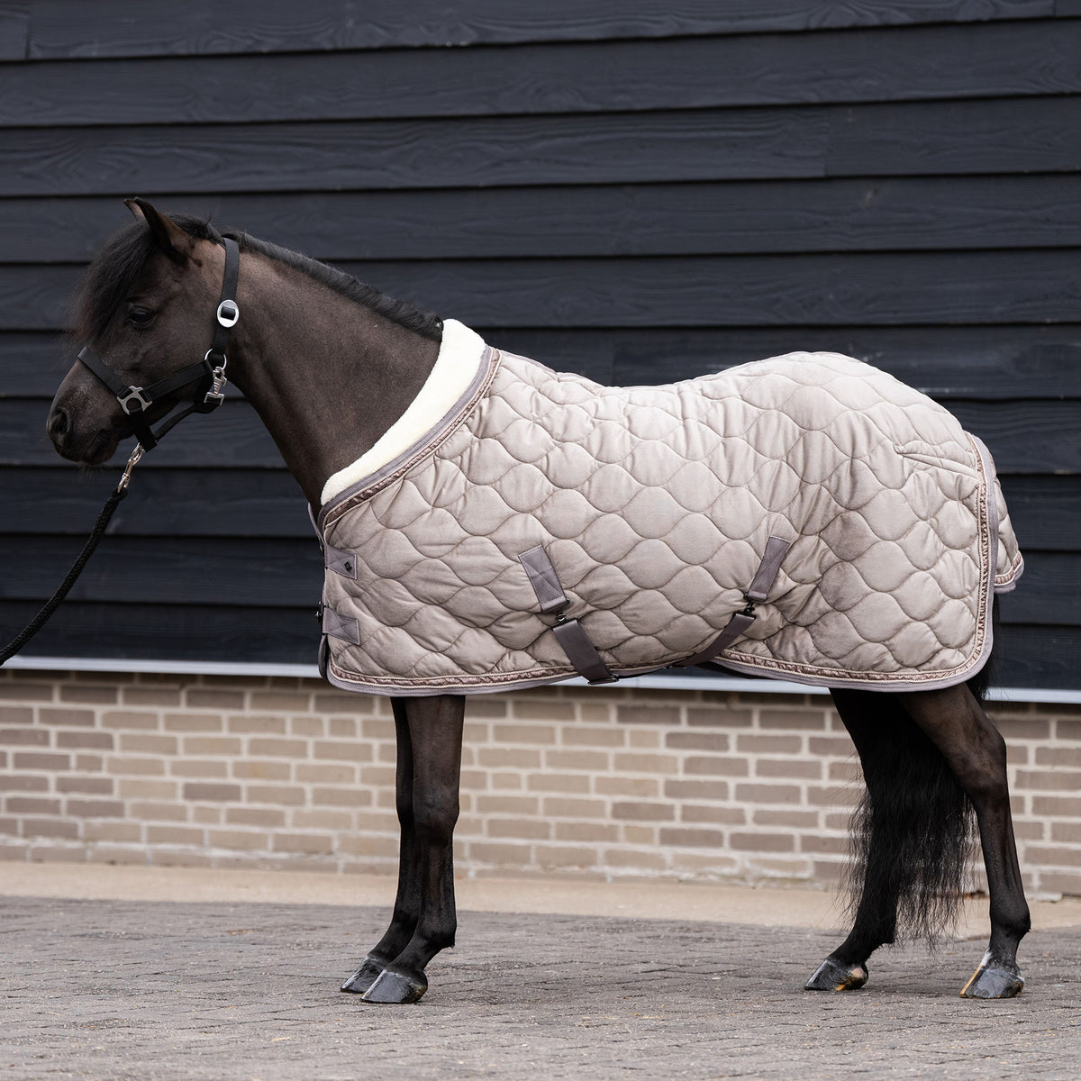 Imperial Riding IRHBandit Show Blanket