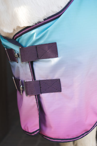 HorseGuard Gradient Rug w/ Fleece Lining