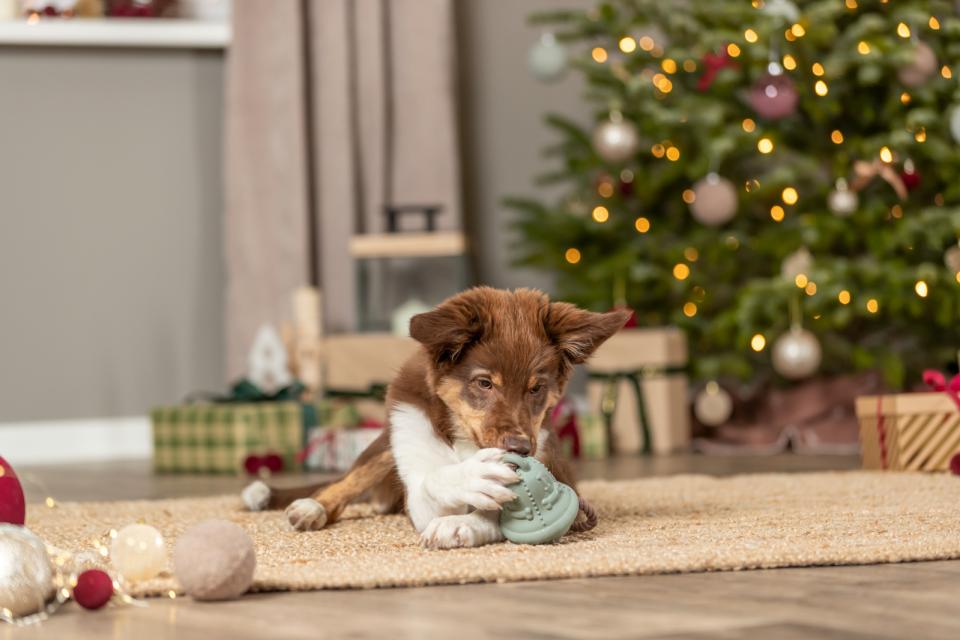 Trixie Xmas Juleklokke Med Reb