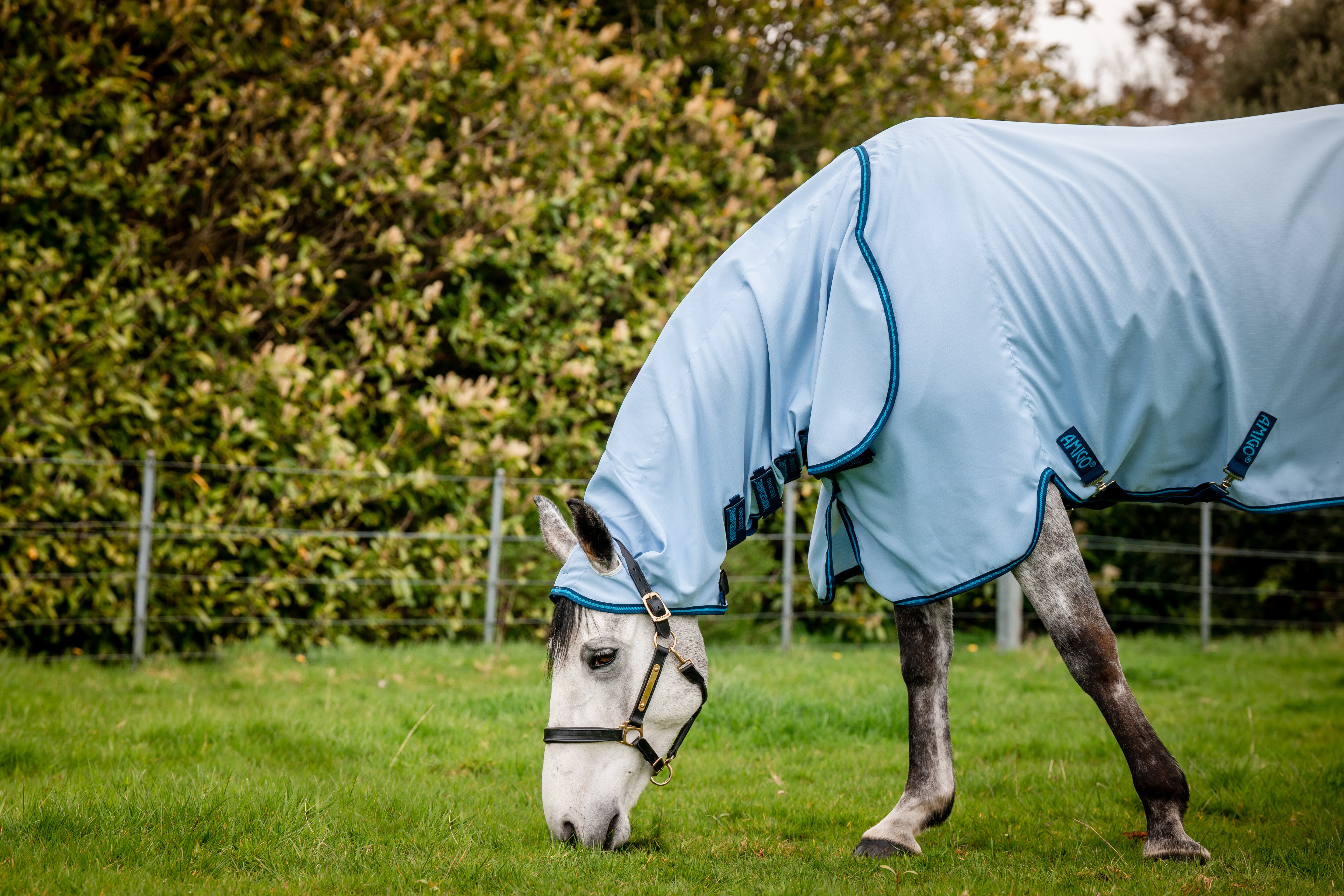 Horseware Amigo Ripstop Hoody
