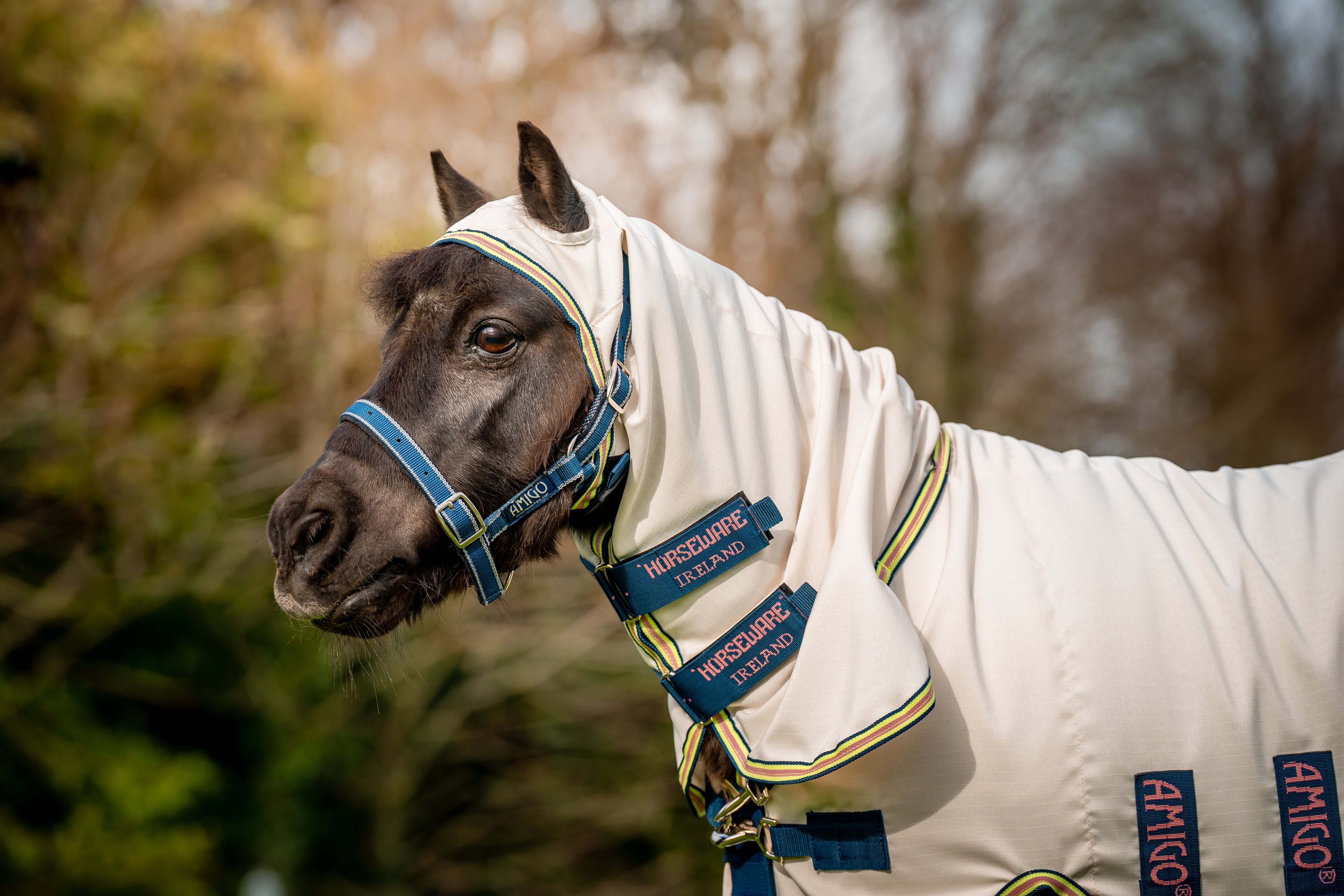 Horseware Amigo Petite Ripstop Hoody - OUTLET