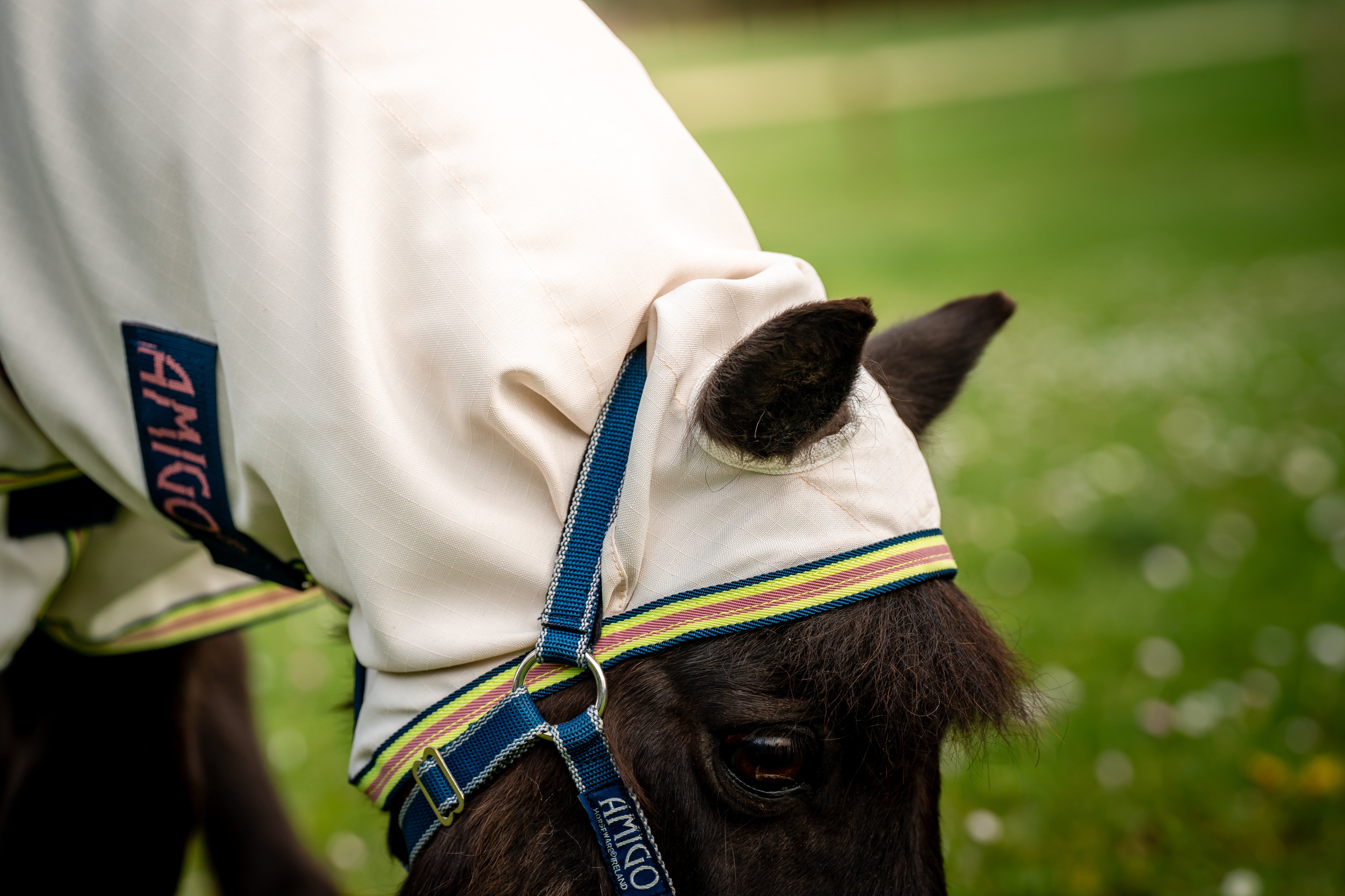 Horseware Amigo Petite Ripstop Hoody - OUTLET