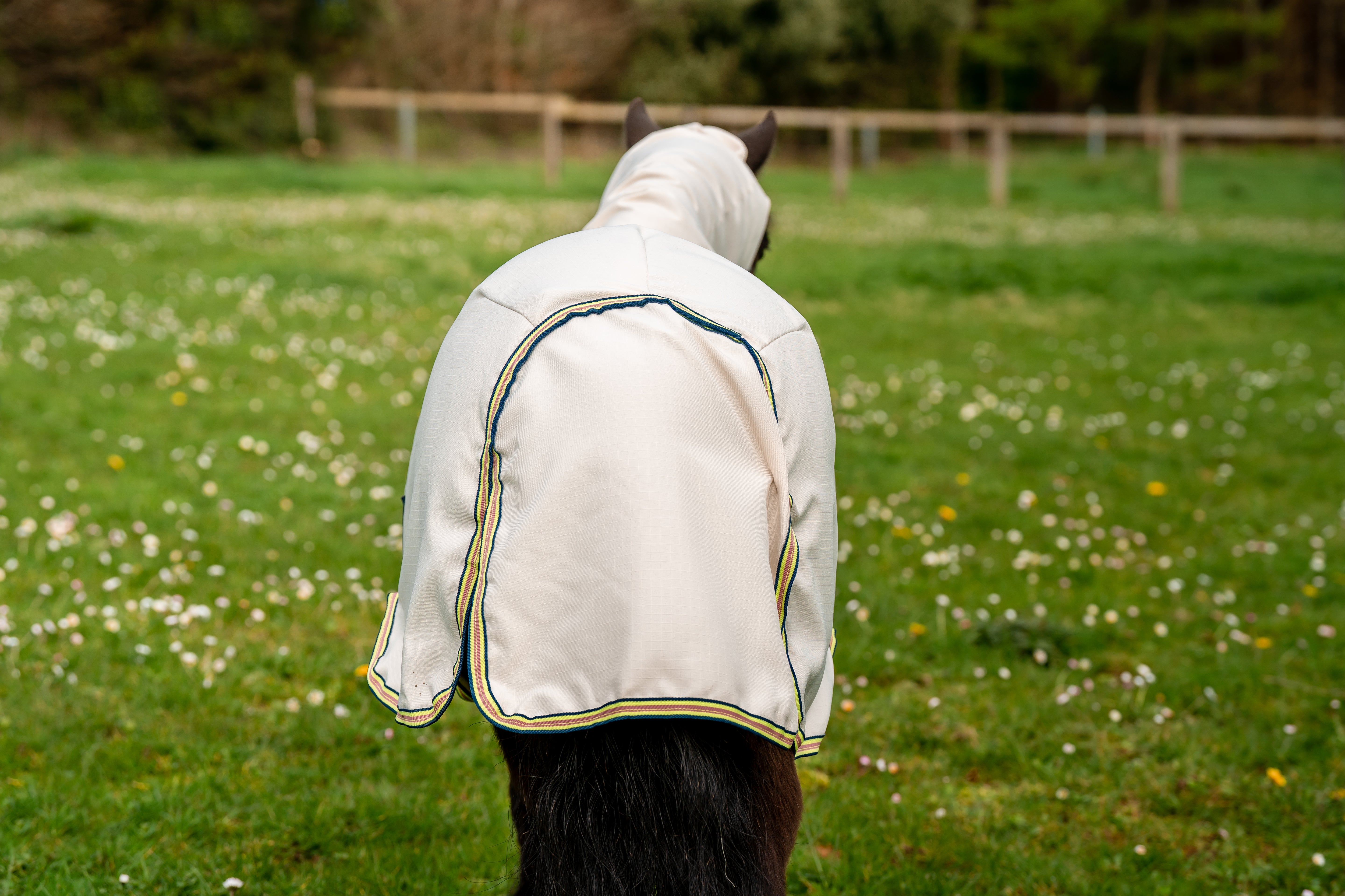 Horseware Amigo Petite Ripstop Hoody - OUTLET