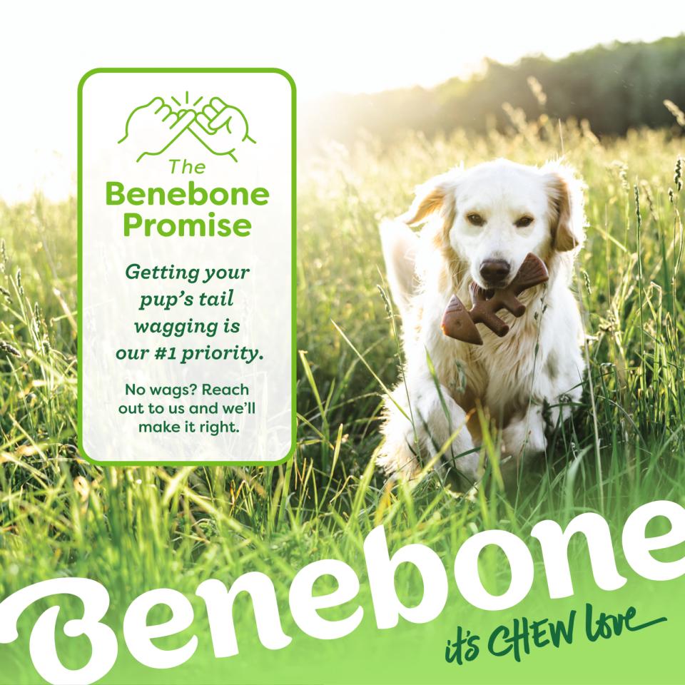 Benebone Fishbone tyggelegetøj