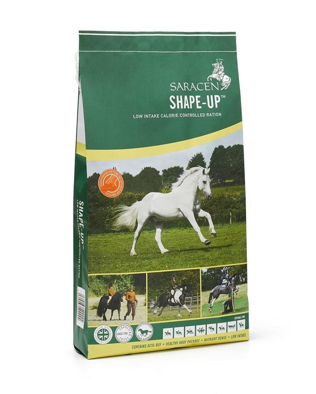 Saracen Shape Up