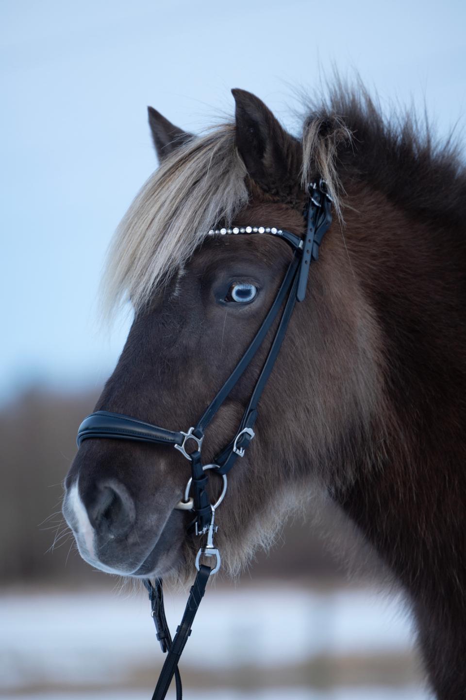 HorseGuard Supergrip-Tøjler Med Hager