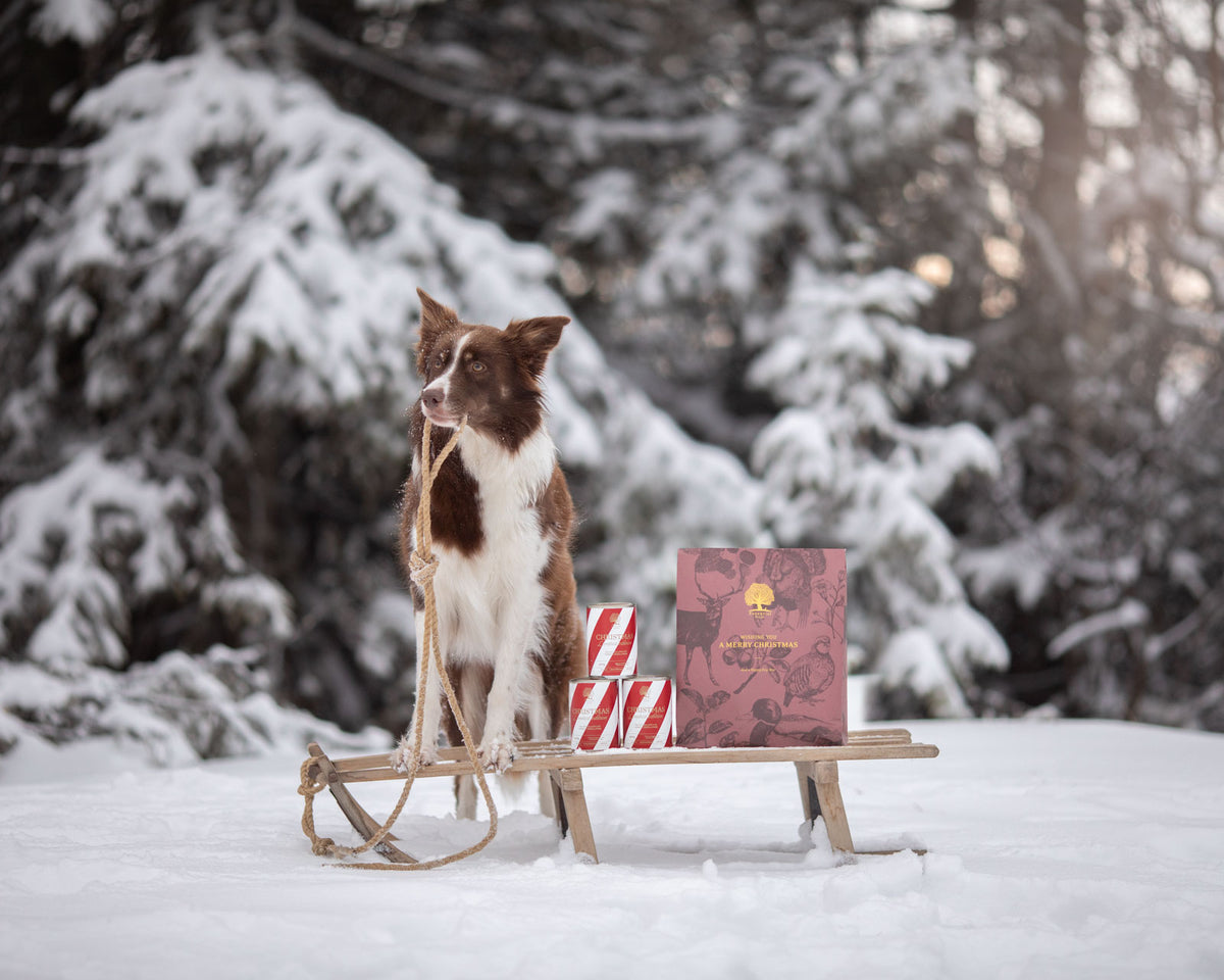 Essential Foods Christmas Dog Paté Limited Edition