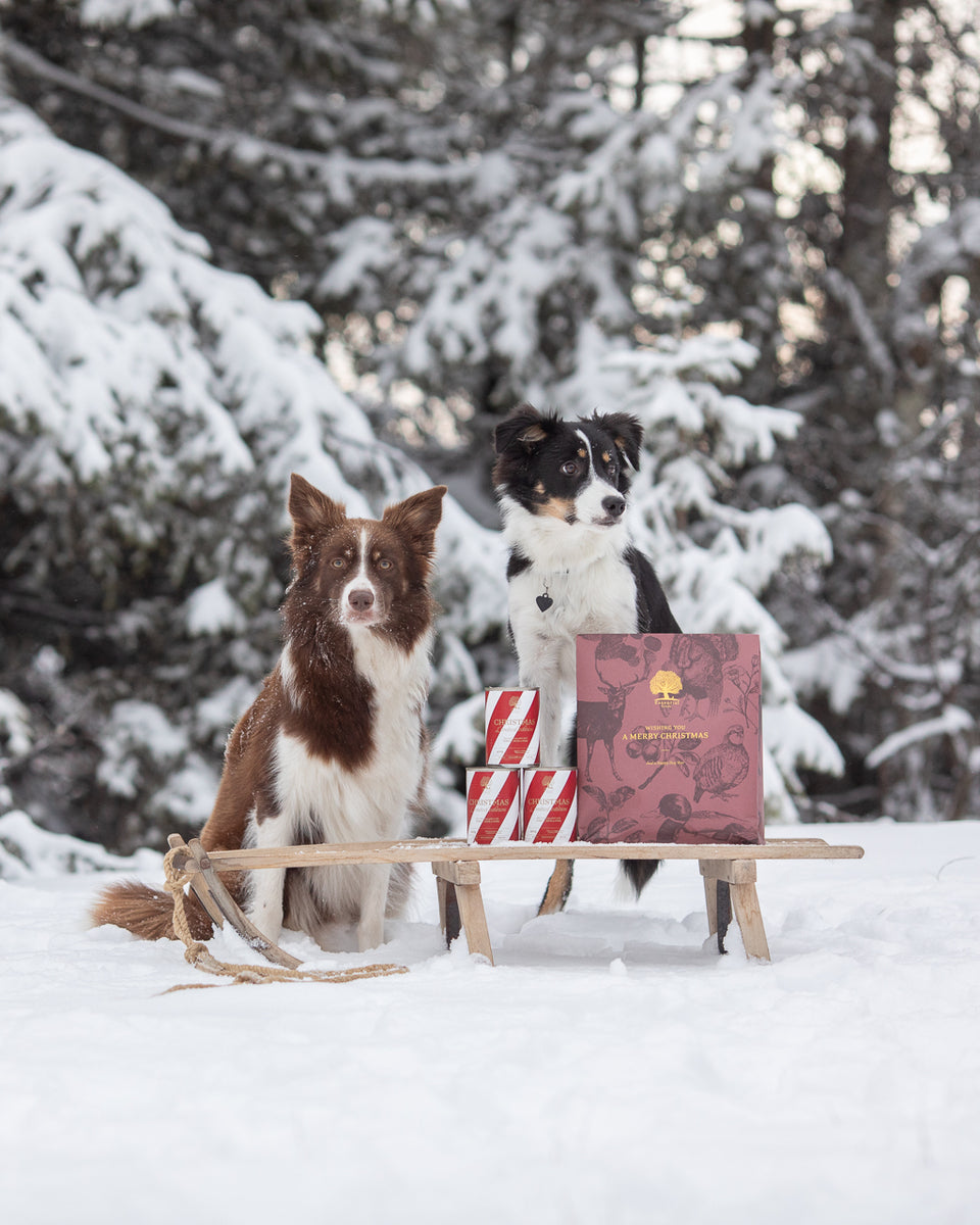 Essential Foods Christmas Present For Dog Limited Edition