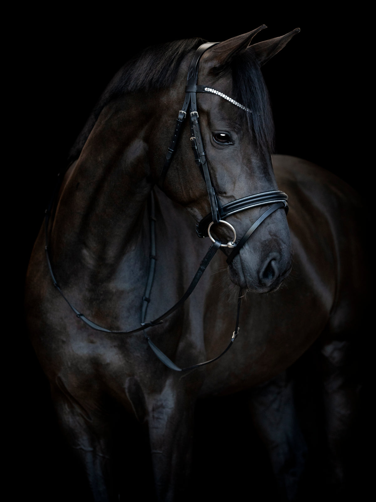 HorseGuard HG EMI 25.1 Kombineret Trense