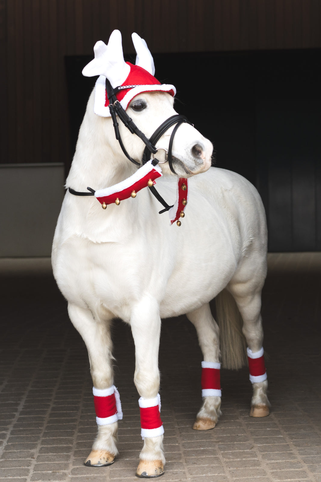 HorseGuard Julebandager