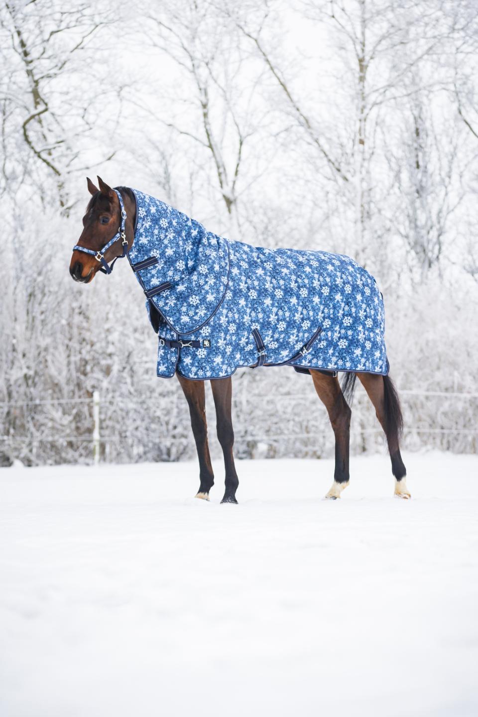 HorseGuard Snowflake Grime