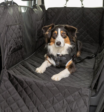 Trixie Car Seat Cover