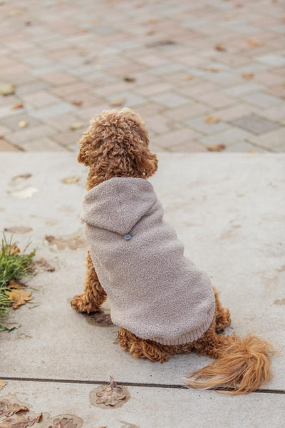 Trixie Carson Hoodie