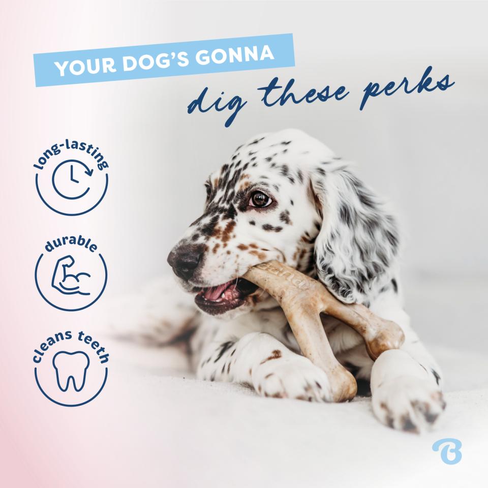 Benebone Puppy 2-Pack Rubber Bone/Wishbone