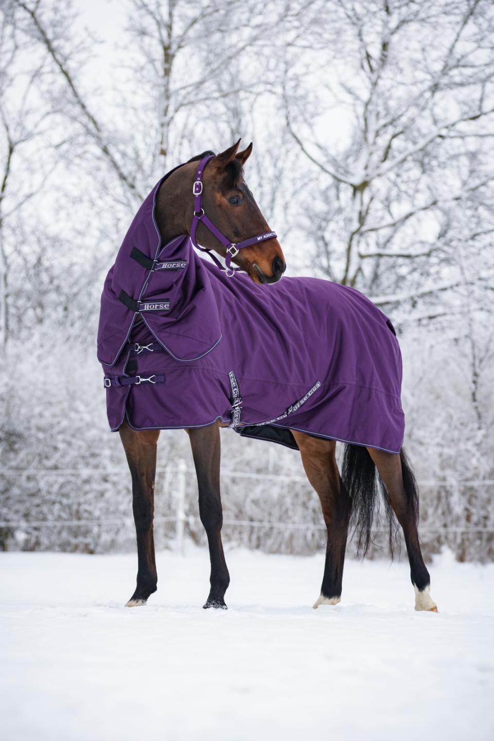 HorseGuard Malva grime "My Addiction"