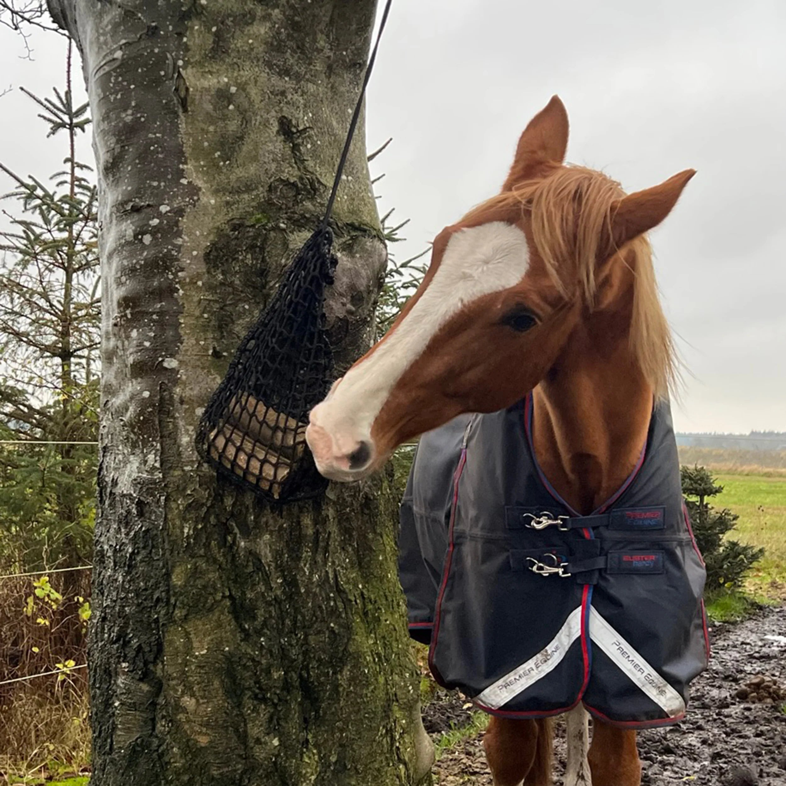 Nordic Horse Mini Hønet