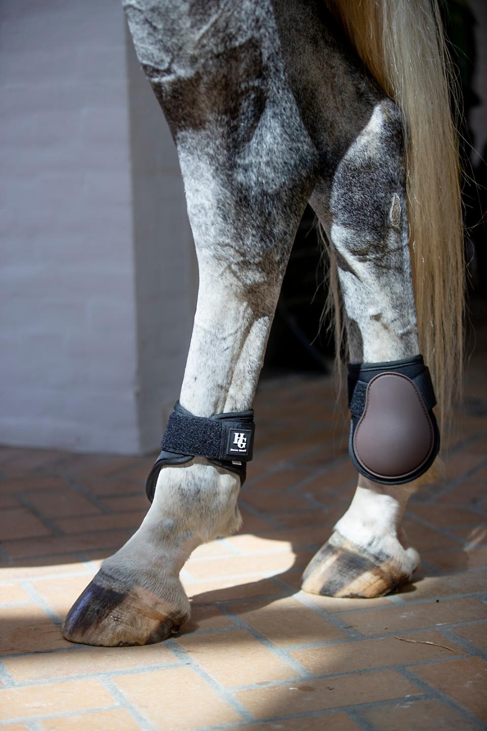 HorseGuard Tary Bagbensgamacher